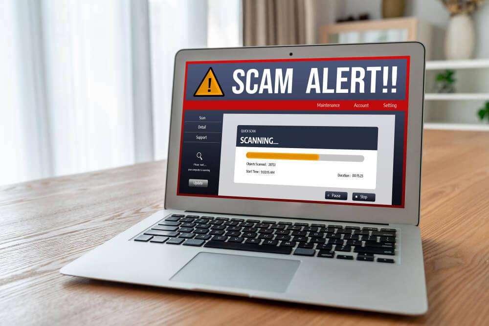 Scan Your website hatch2web